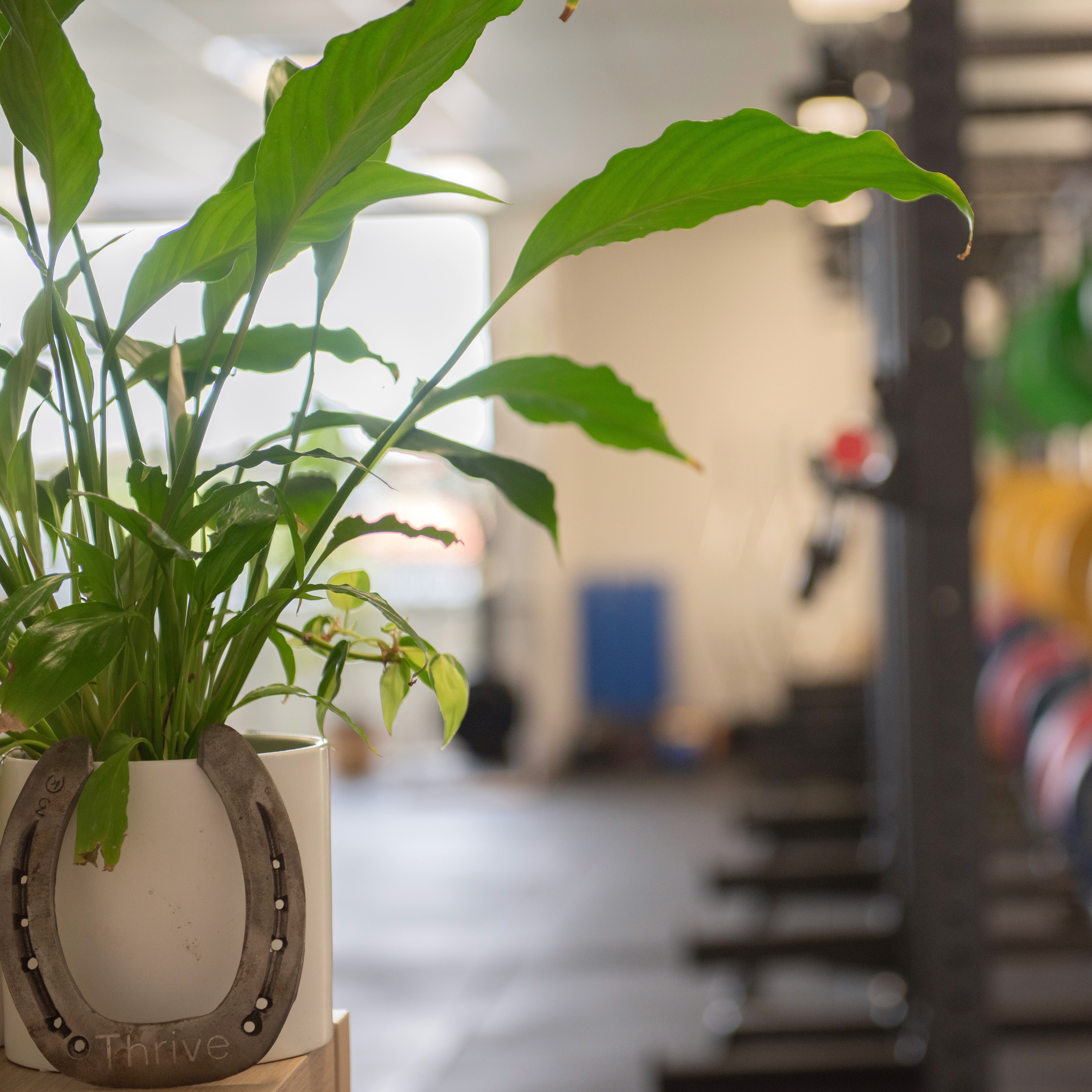 The Thrive Fitness studio floor