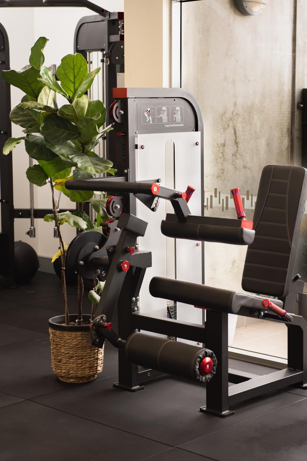 Thrive Studio